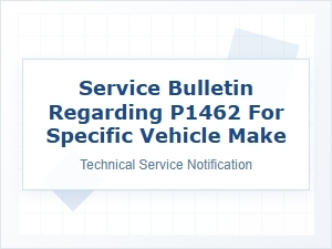 Addressing P1462 Fuel System Concerns